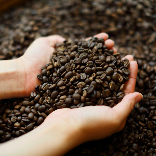The Best Way to Grind Coffee | Best Coffee Ground Size